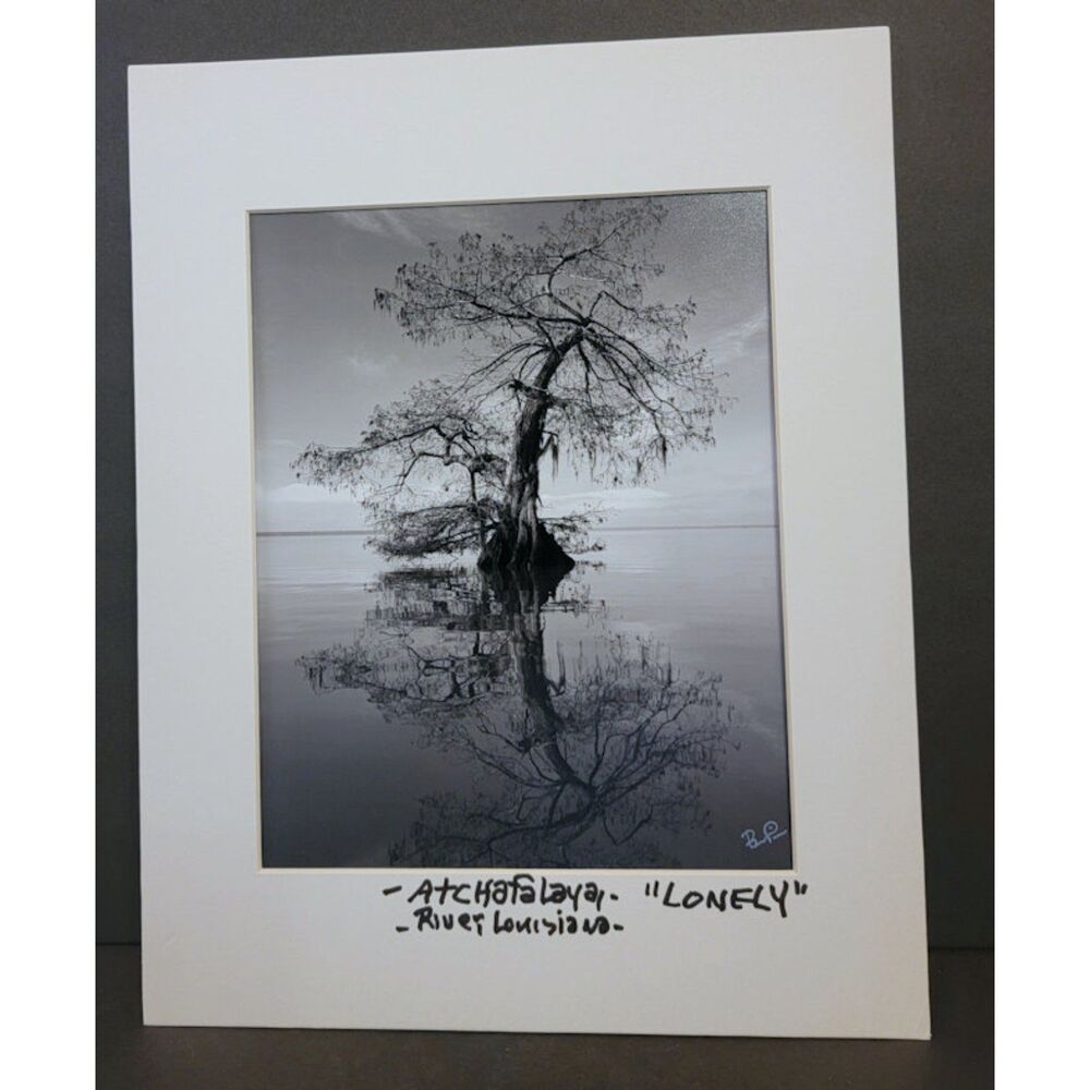 “Lonely” Atchafalaya Basin, Louisiana Photographic Print - Ben Pierce 2018